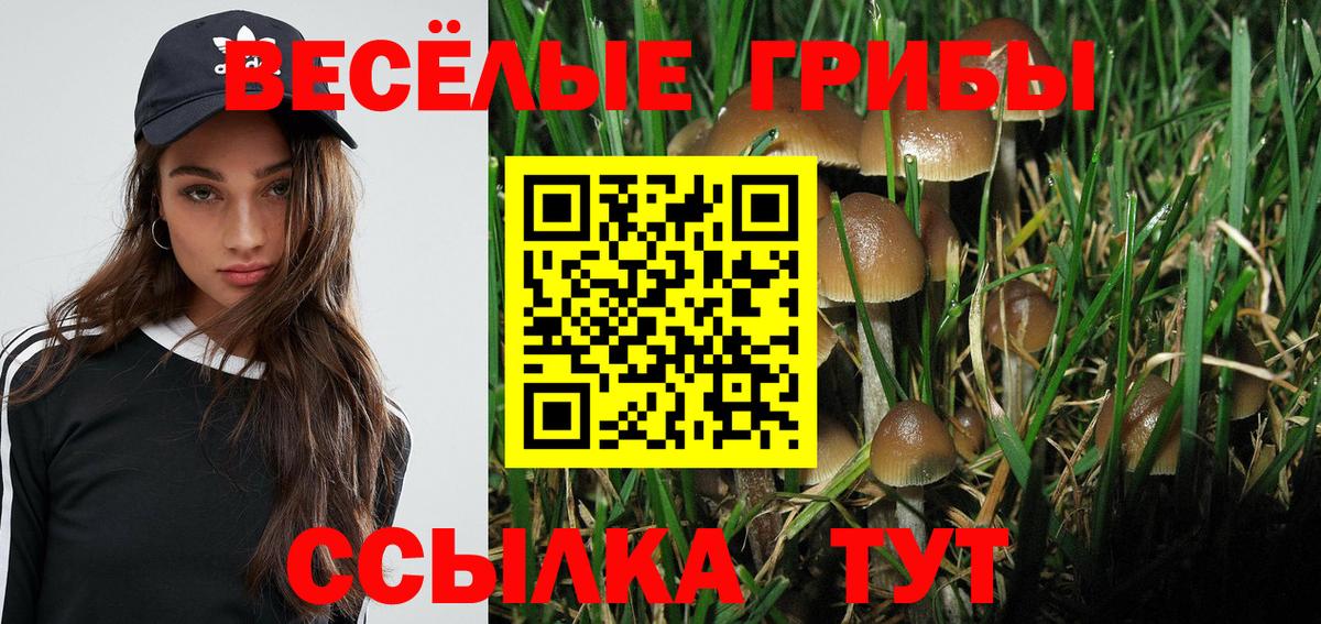 купить закладку  Псилоцибиновые грибы Psilocybe  Вход с VPN  Бутурлиновка 